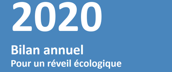 2020 Bilan annuel PRE.PNG